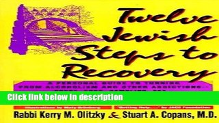 Books Twelve Jewish Steps to Recovery: A Personal Guide to Turning from Alcoholism and Other