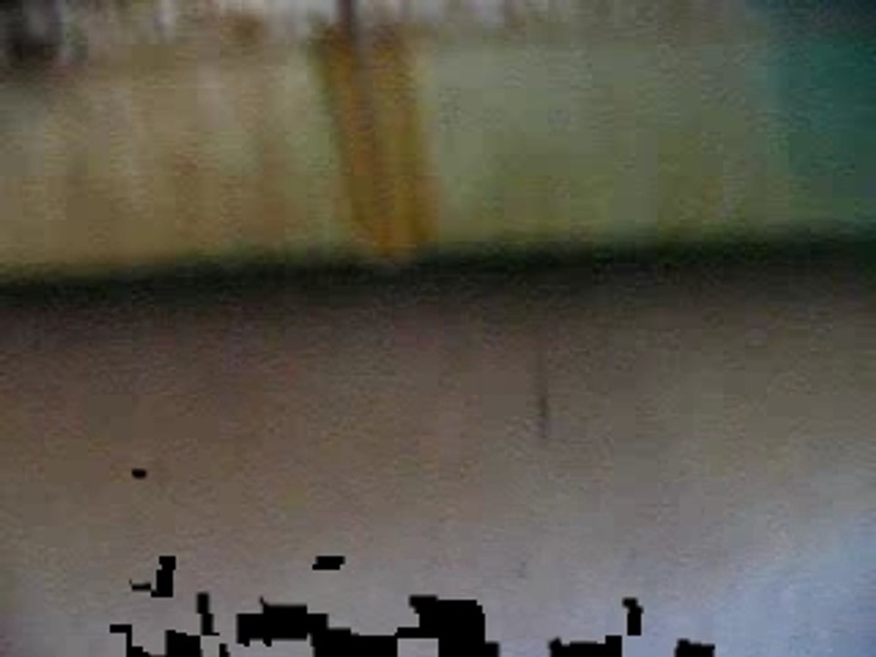 Visite chez mon hamster