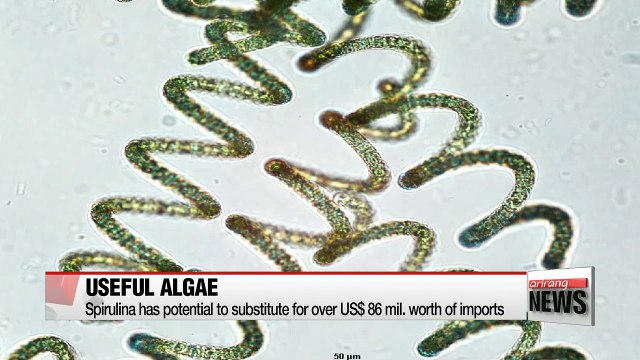 Researchers in Korea develop technology to mass produce spirulina