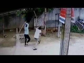 Duo booked for killing and maiming dogs in Ghaziabad