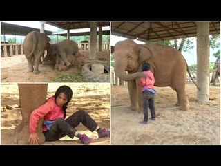 Woman sings elephants to sleep