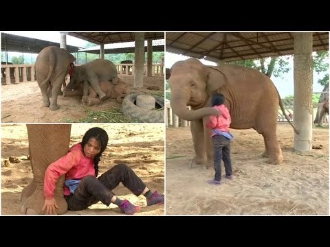 Woman sings elephants to sleep