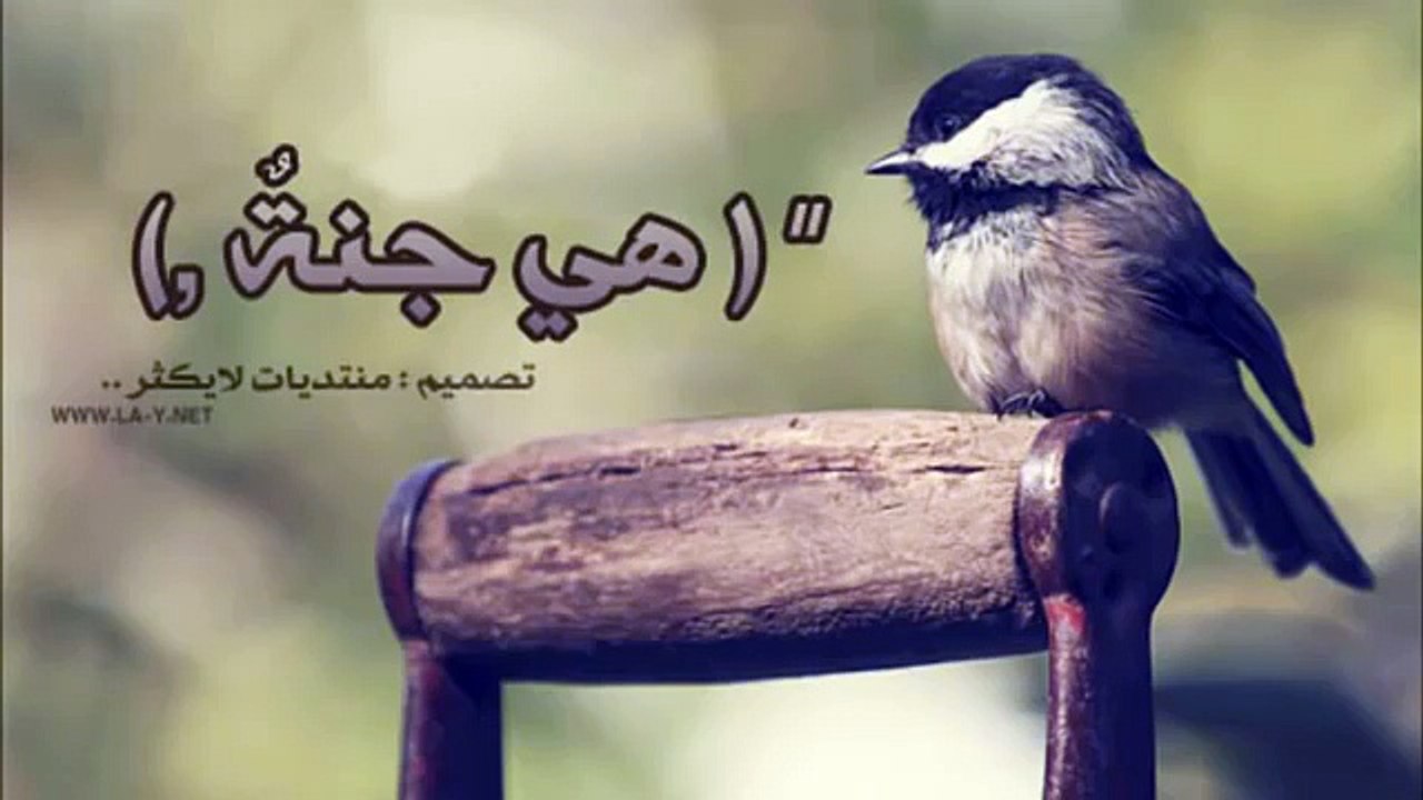 هي جنه