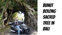 SunMoRi From Bunut Bolong to lake Tamblingan and Buyan, and meeting Byson Riders Club Bali