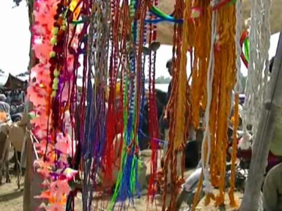 Bahawalpur  Bakra Eid Report