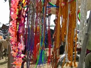 Bahawalpur  Bakra Eid Report