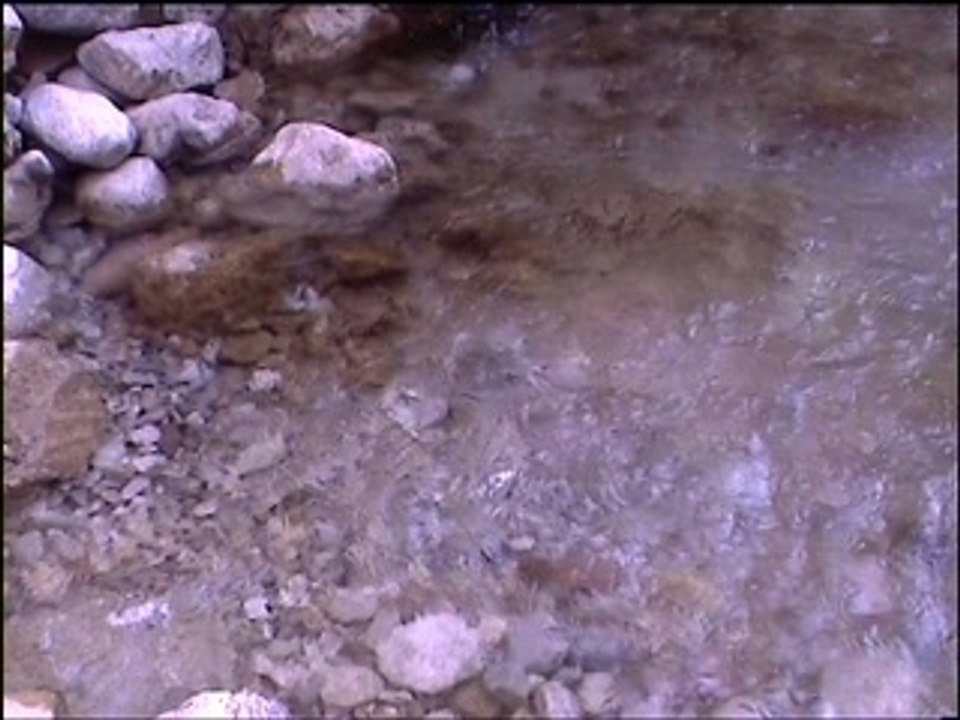 la chevre des gorges du todgha - YAFELMAN