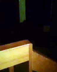 Un Ours entre dans la maison de nuit et effraye tout le monde !