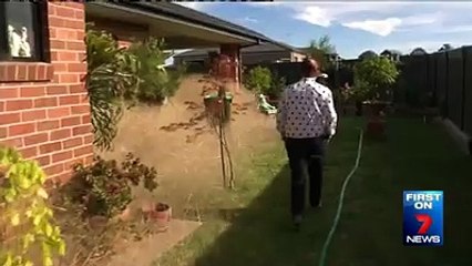 A creepy natural phenomenon is menacing residents of a town north east Victoria