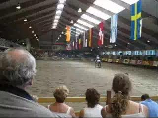 European Reining Championship 2005