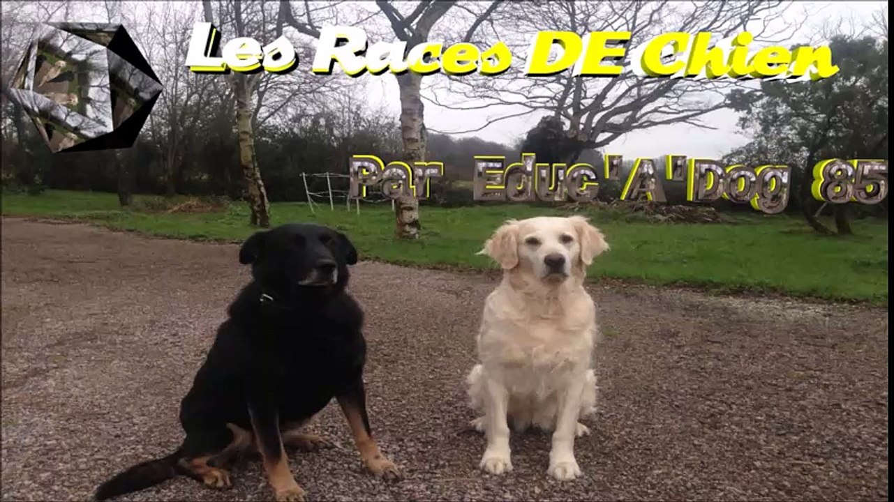 Vastgötaspets