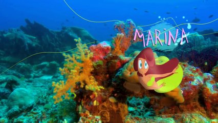 Nàng tiên cá, cá mập VS Linh cẩu -Phần 1 tập 3