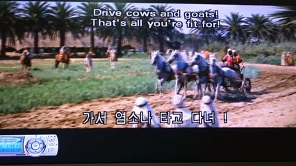 Ben Hur-4 I am racing my whites against the noble tribune's undefeated blacks.