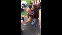 Ce chien volé il y a 2 ans, rencontre de nouveau son maître. Un scène émouvante qui vous mettra en larmes