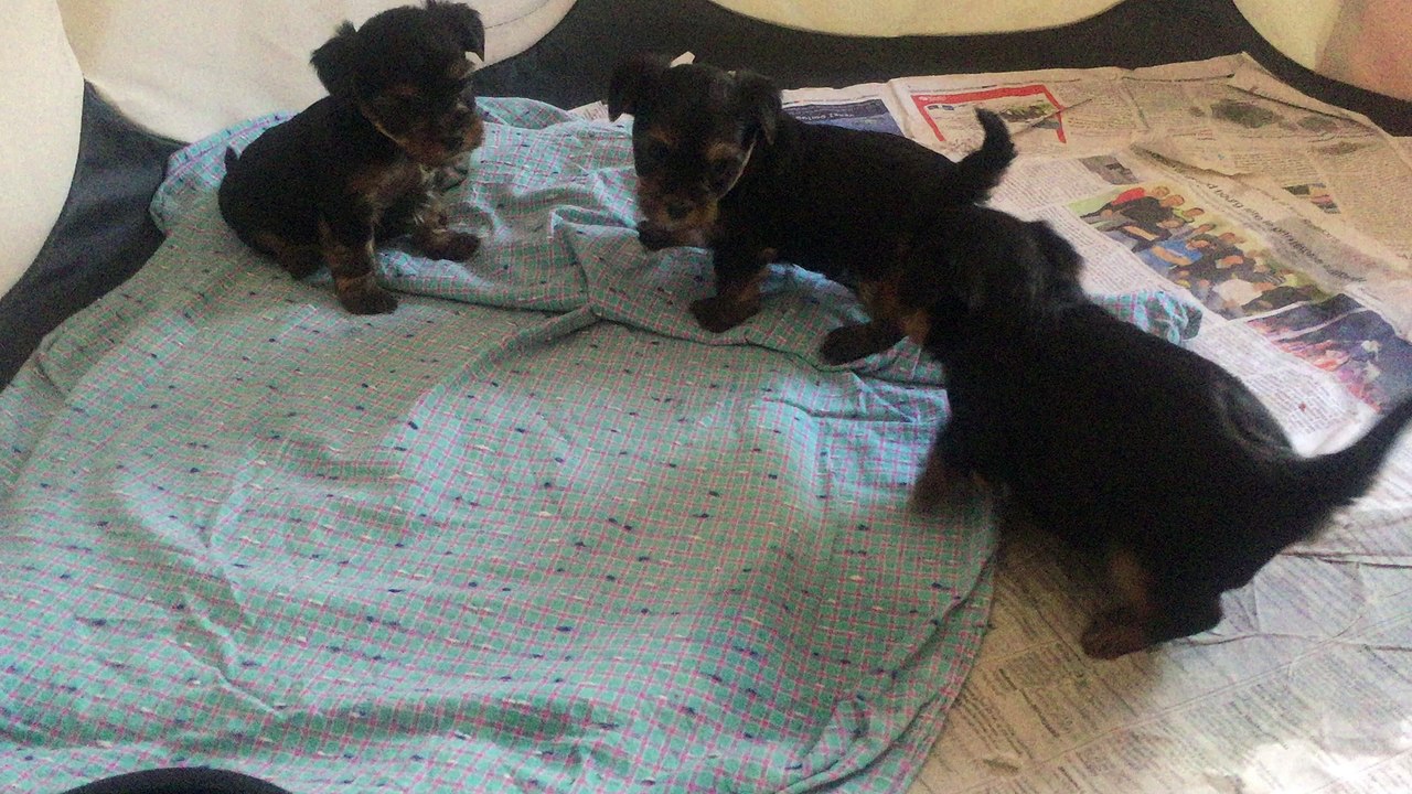 nos fifilles à 1 mois