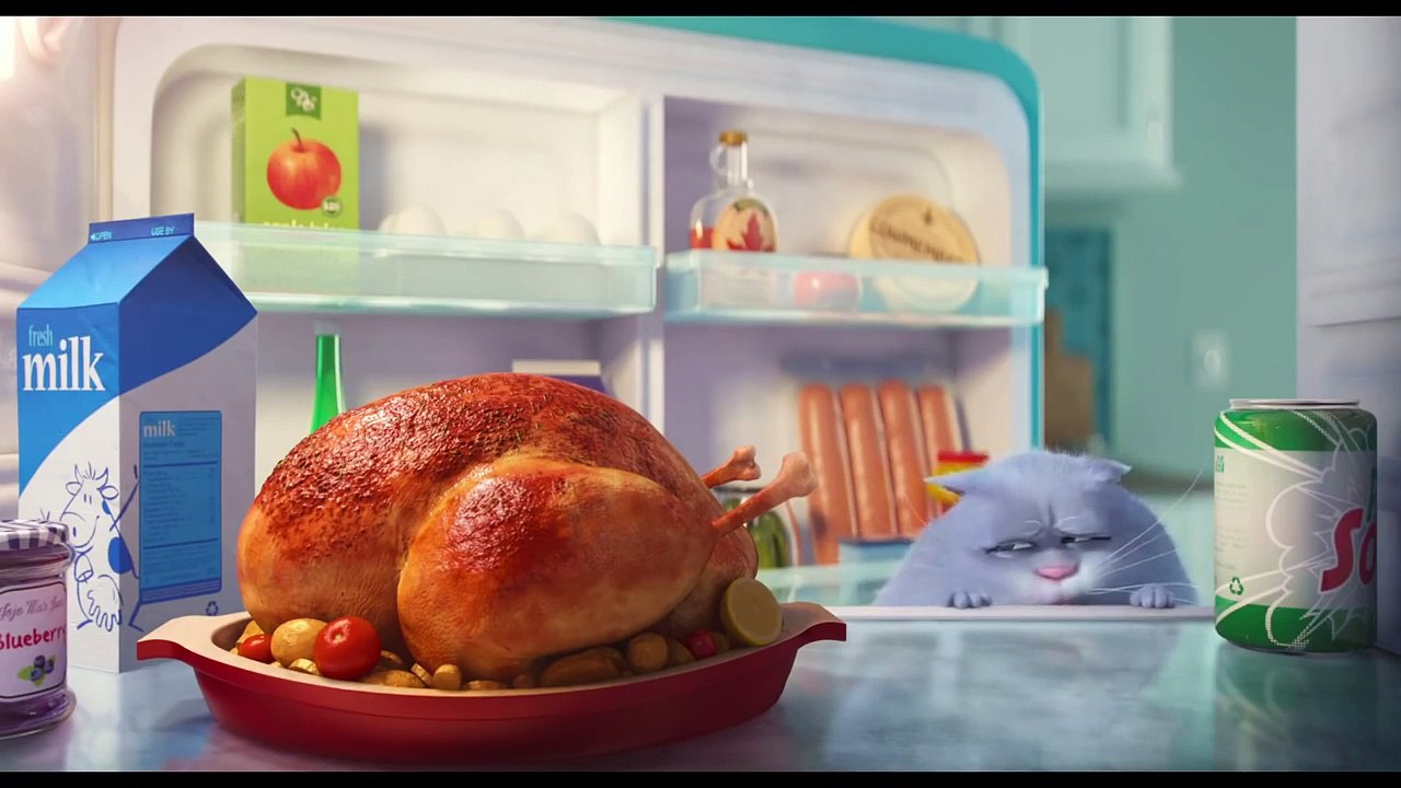 Mascotas - Trailer