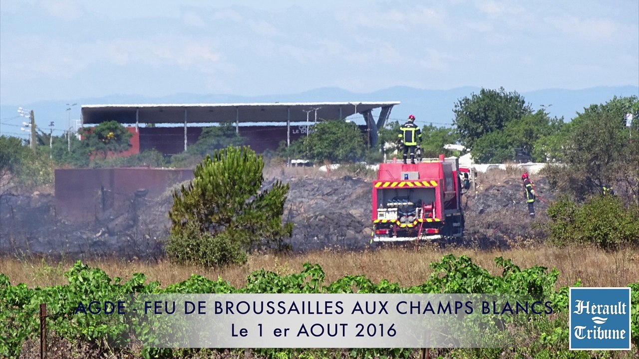 AGDE - CAP d'AGDE - 2016 - INCENDIE DE BROUSSAILLES - DEUX HECTARES  partent en fumée