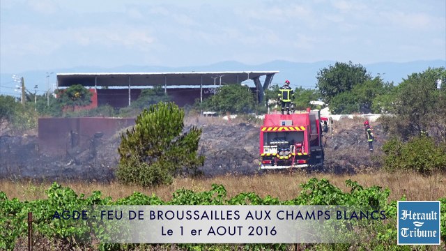 AGDE - CAP d'AGDE - 2016 - INCENDIE DE BROUSSAILLES - DEUX HECTARES partent en fumée