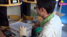 跨領域合作傳出好消息 金門栗喉蜂虎雛鳥滿月