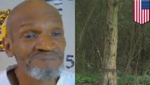 Burglar dies after elderly man duct tapes his mouth and ties him to a tree