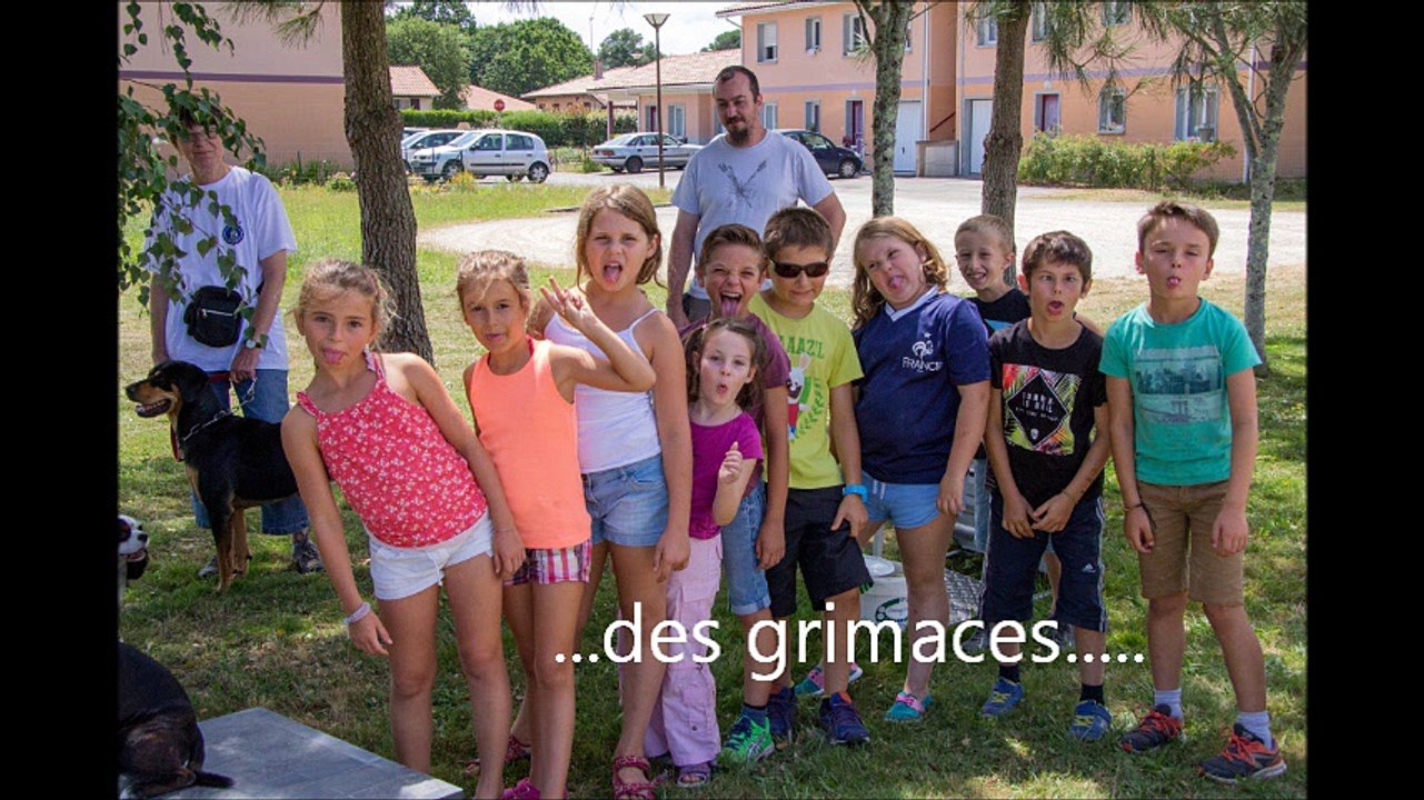 Chiens visiteurs à Léon