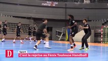 Le Fénix Toulouse Handball reprend du service