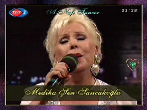 Mediha ŞEN SANCAKOĞLU - Dün Gece Mehtâba Dalıp Hep Seni Andım