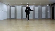 Bangtan Boys (방탄소년단) JungKook Dance Practice [MIRROR]