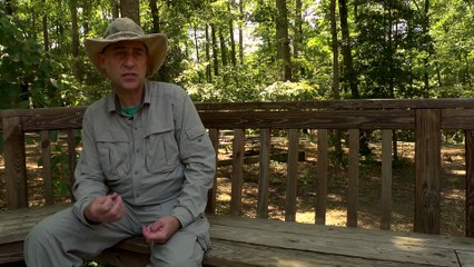 Space Bear: The First Animal to Survive in Space