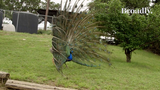 How One Matchmaker Changed Online Dating for Women Everywhere