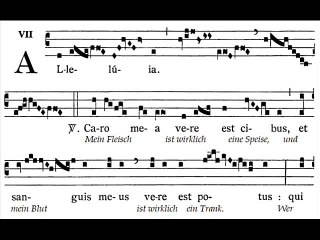 Alleluia Caro mea vere, Dominica XX TpA (20è TO)