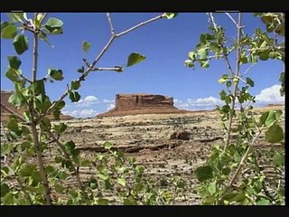 MaxTV-Mustang Hunters_ Łowcy Mustangów-Max Kolonko documentary