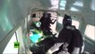 Miirá el video El hombre que saltó a mas de 7 kilómetros de altura sin paracaídas