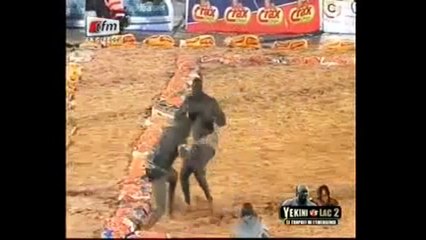 Les doubles chutes de Yékini et Tyson: Des chutes presque identiques..Regardez!!