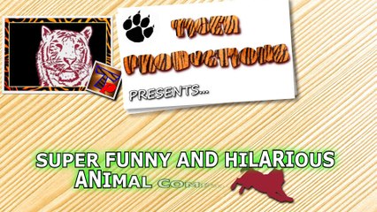 Funny animals can always make you laugh and cheer you up - Funny animal compilation