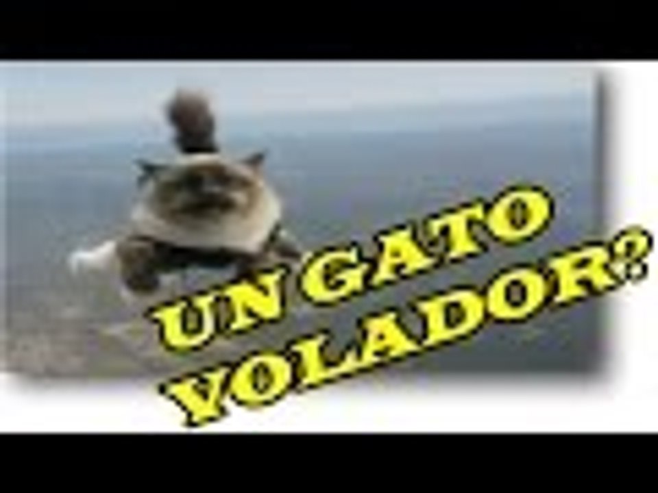 MEJORES FAILS DE LA SEMANA 4 JUNIO 2015 nuevo