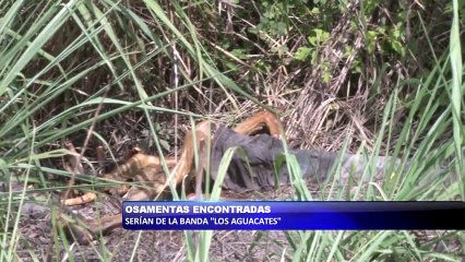 Osamentas encontradas serian de la Banda Los Aguacates