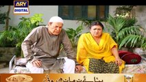 Watch Shehzada Saleem Episode 98 on Ary Digital in High Quality 1st August 2016