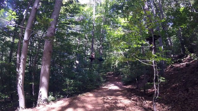 Canyoning+accrobranches-31:07:2016