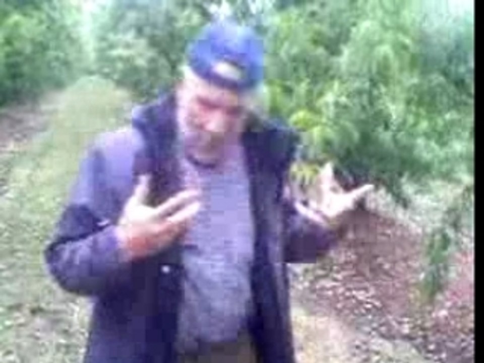 Freestyle