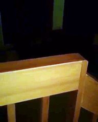 Una familia entró en pánico al ver un oso entrar a su casa