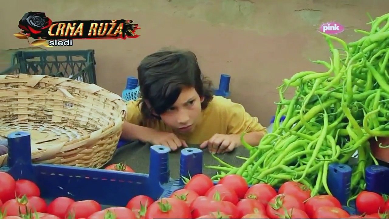 Zehra 312