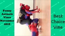 Funny Animals Vines November 2015   BestChoiceVine