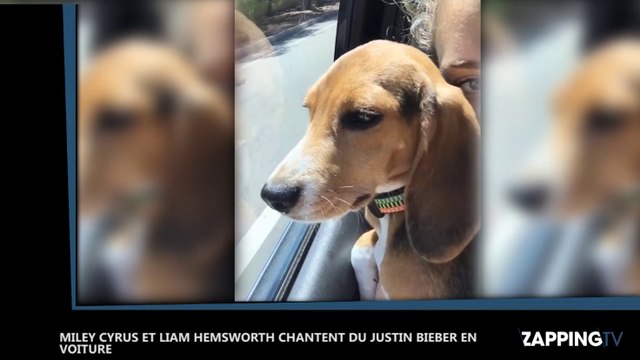 Miley Cyrus et Liam Hemsworth chantent du Justin Bieber en voiture