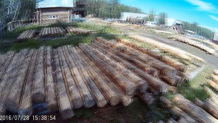 Зимний лес для бани 4х5. Рубим баню из зимнего леса!