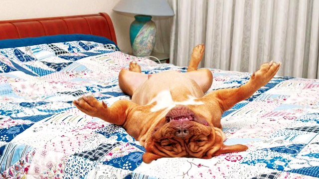 О ЧЕМ И ЗАЧЕМ ЭТА БЛ%ТЬ КНИГА????