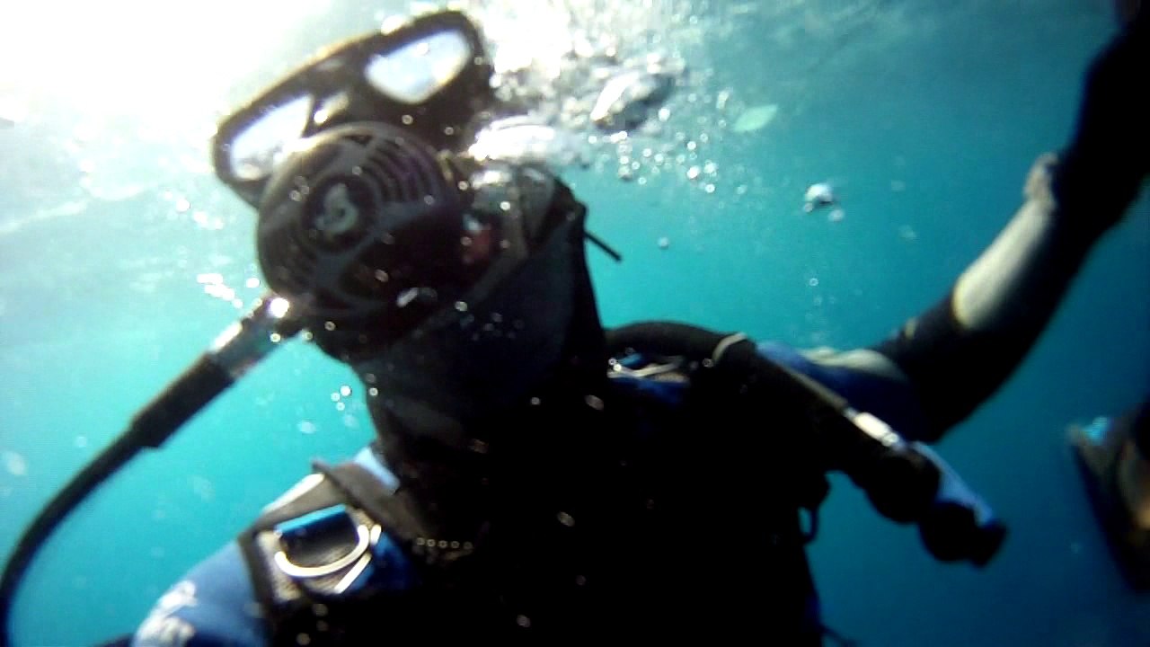 Plongée sous-marine - Réserve Naturelle de Banyuls - Epave Astrée - 2016