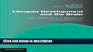 Books Lifespan Development and the Brain: The Perspective of Biocultural Co-Constructivism Free