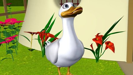 Five Little Ducks went out one day - HD Animation English Nursery Rhymes for Children