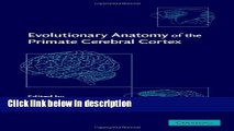 Ebook Evolutionary Anatomy of the Primate Cerebral Cortex Full Online